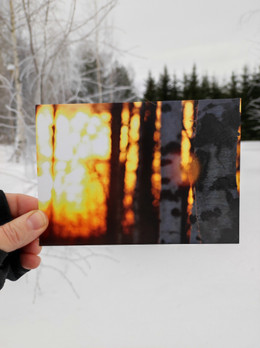 Lupaus keväästä -postikortti