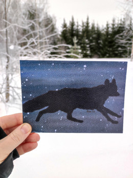 Pohjolan taivas, naali -postikortti