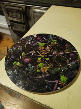 Karpalo -pannunalunen