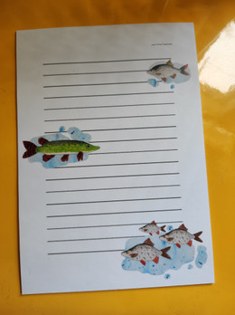 Paperilehtiö A5, Kalajuttu