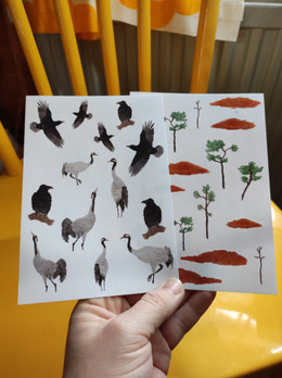 Tarrasetti, Kurjet & Korpit, A6