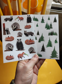 Tarrasetti, Mäyrät & Ketut, A6