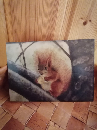 Taittokortti kirjekuorella, orava puussa