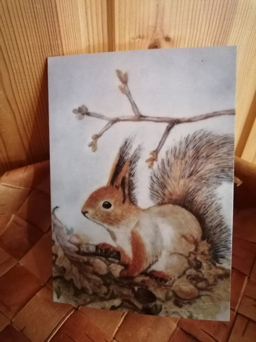 Taittokortti kirjekuorella, orava