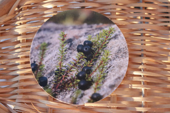 Kaarnikka -lasinalunen