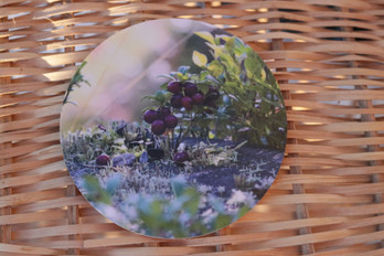 Puolukat -lasinalunen