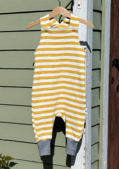 Lappuhaalarit, Hupsu