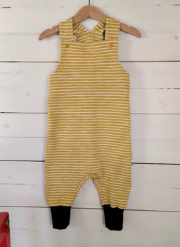 Lappuhaalarit, Hassu