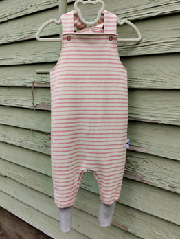 Lappuhaalarit, Raita