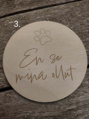 Lemmikki-kuvauskortti eri tekstein