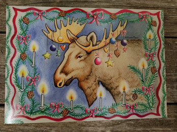 A5 kortti, Joulun vieras