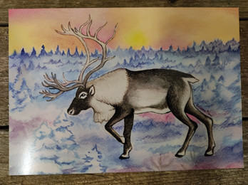 A5 kortti, Lapin taika