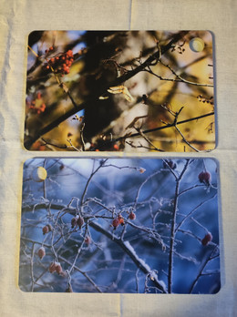 Kaksipuoleinen leikkuulauta, Ruusunmarja ja Pihlaja