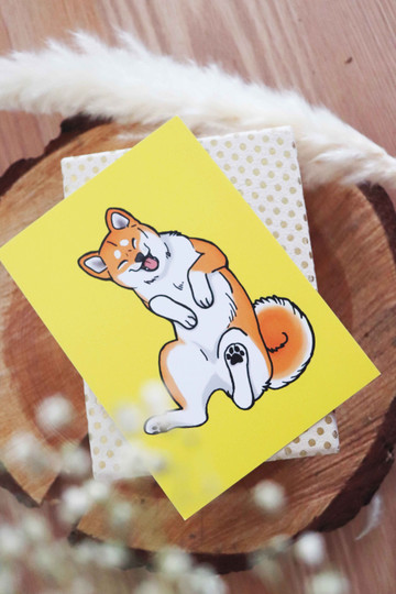 Akita -postikortti