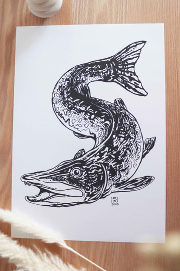 Hauki, juliste A3
