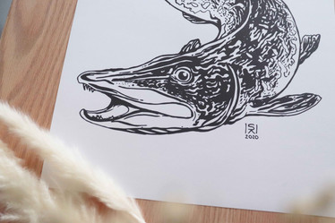 Hauki, juliste A3