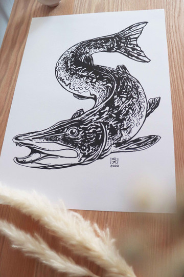 Hauki, juliste A3