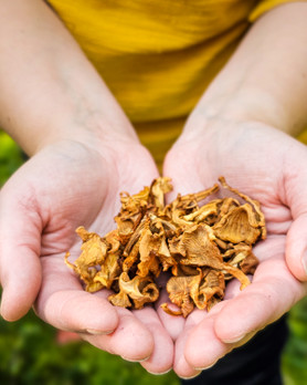 Kuivattu Kantarelli 40g