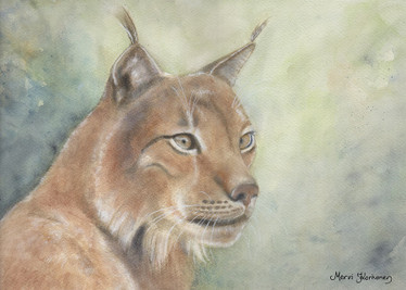 Taidekortti, Yksinäinen Samoaja