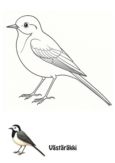 Linnut värityskirja