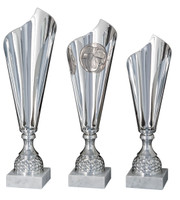 Pokaali WINNER SILVER