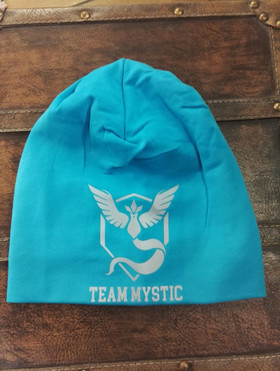 Pokemon Team HEIJASTIN pipo