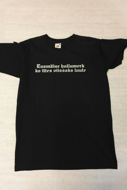 ENSMÄINE HULLUMERK.......