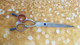 P&W Oceane suorat sakset 7,5'/ straight. size  7,5'