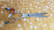 P&W Oceane  Lefty 7,5¨ suorat / straight