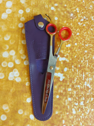 P&W AND RONY DE MUNTER 8,0