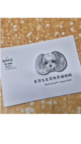 Mr.Jiang mallikoira luonnoskirja