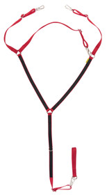 Ristirintaremmi ponille