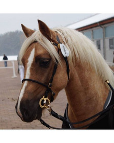 Näyttelysuitset