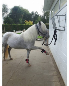 Pikkuponien jännesuojat