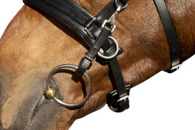 Kapsonisuitset Comfort