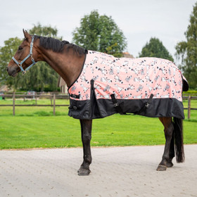 Toppaloimi Mr Squeez 200g