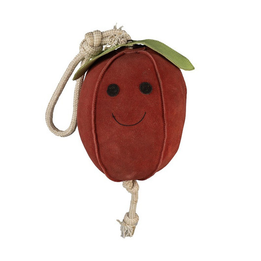 Aktivointilelu Omena