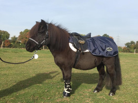 Ponin ratsastusloimi