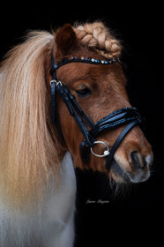 Suitset Special A-pony