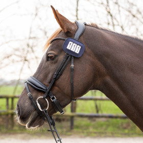 Kilpailunumerot Shine