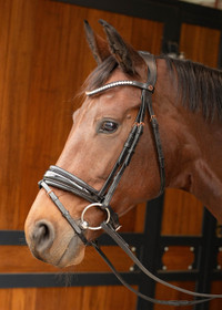 Suitset Rosegold Lacque II