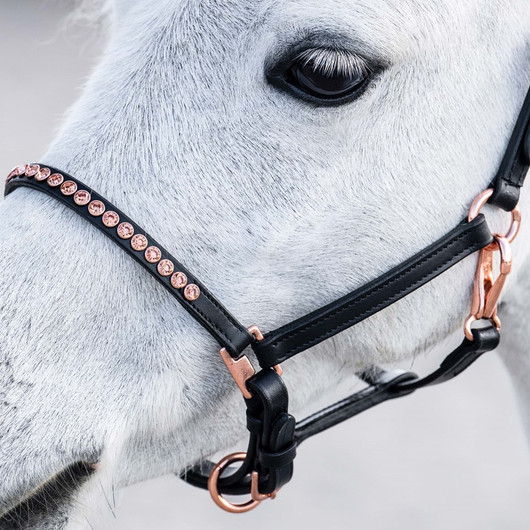 Nahkariimu pony/varsa
