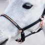 Nahkariimu pony/varsa