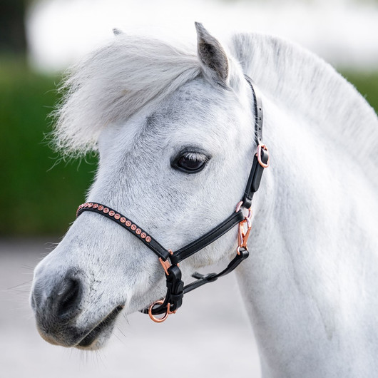 Nahkariimu pony/varsa