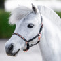 Nahkariimu pony/varsa
