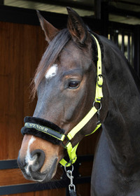 Karvariimu tekstillä