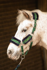 Karvariimu + naru Stout