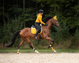 Shettiksen tuotepaketti