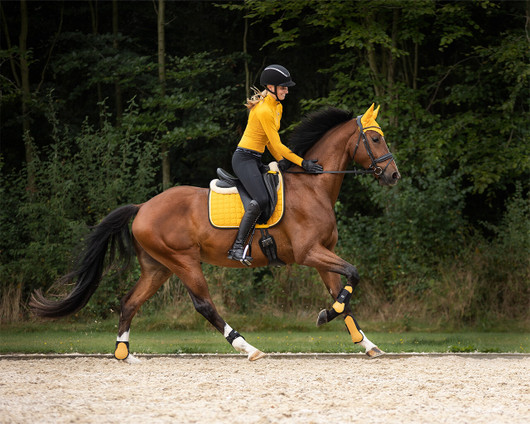 Shettiksen tuotepaketti