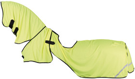 Huomioratsastusloimi